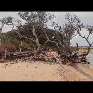 Meet your Posher, Logan